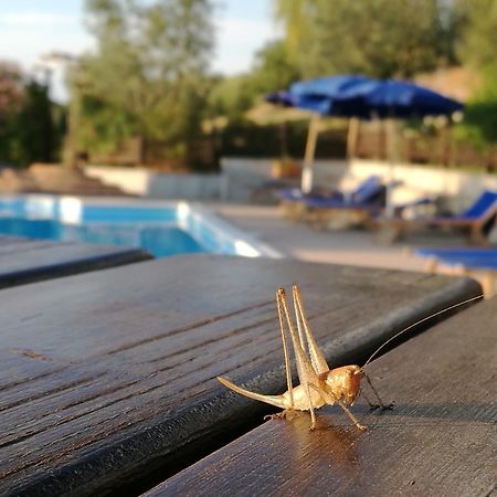 Agriturismo Cornieto Monteleone d'Orvieto ภายนอก รูปภาพ