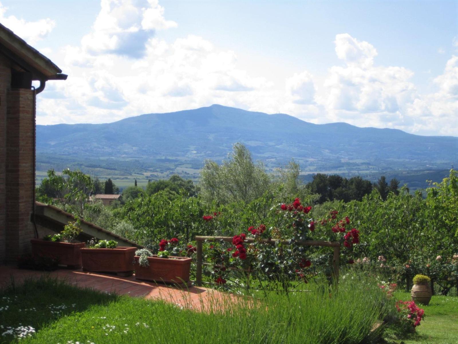 Agriturismo Cornieto Monteleone d'Orvieto ภายนอก รูปภาพ