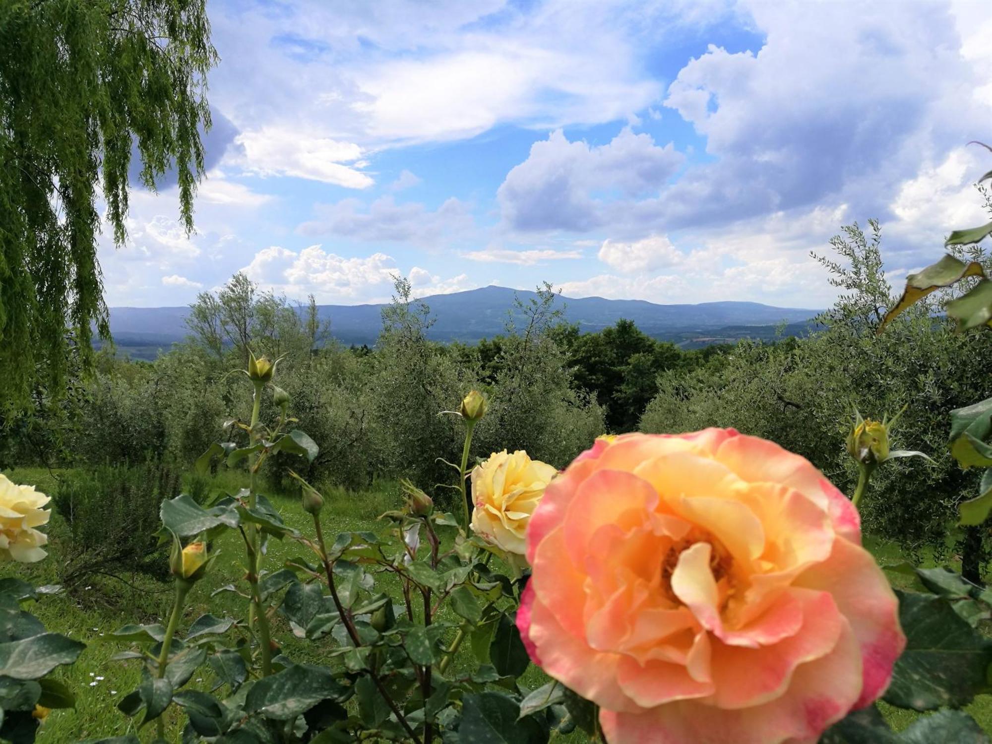 Agriturismo Cornieto Monteleone d'Orvieto ภายนอก รูปภาพ
