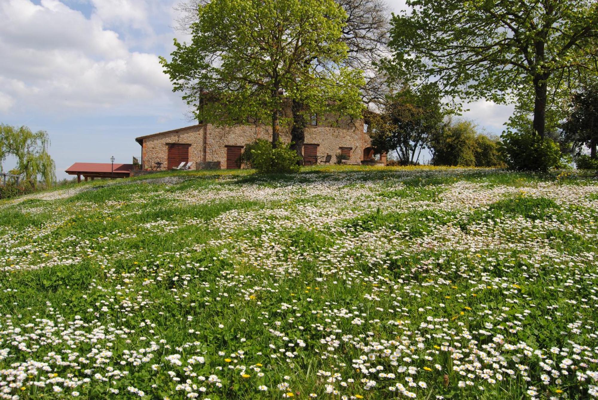Agriturismo Cornieto Monteleone d'Orvieto ภายนอก รูปภาพ