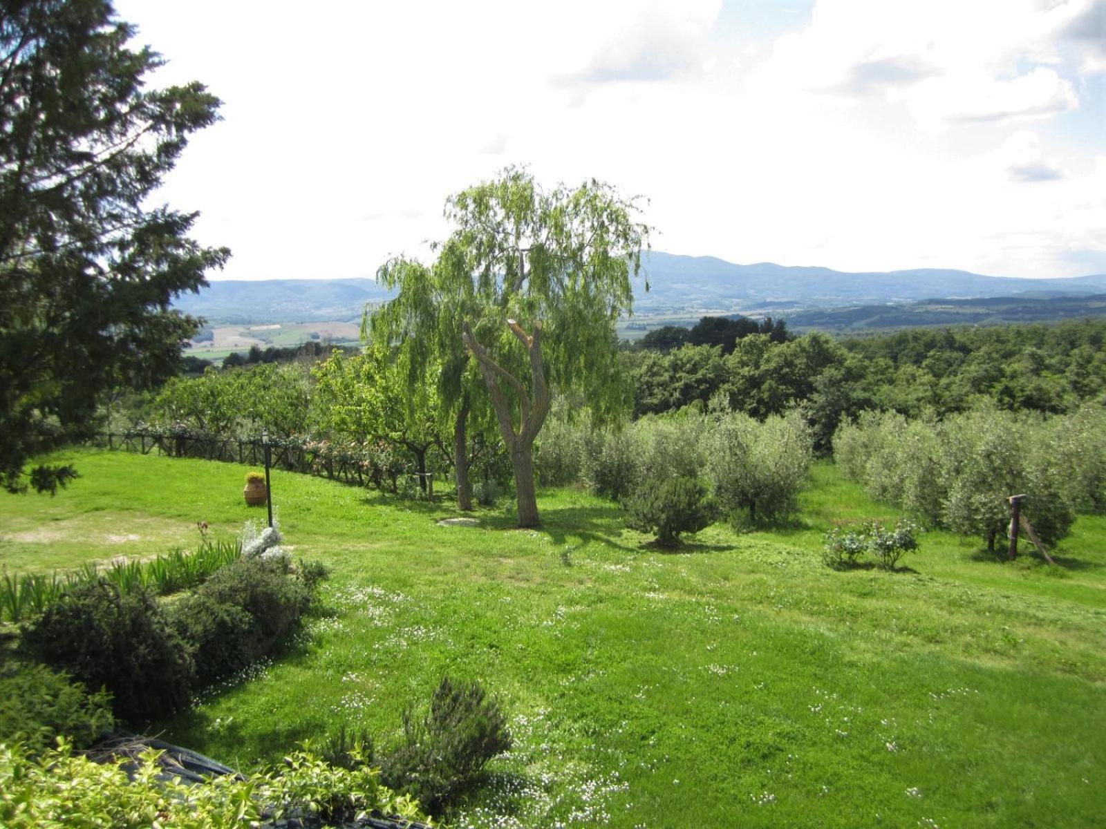Agriturismo Cornieto Monteleone d'Orvieto ภายนอก รูปภาพ