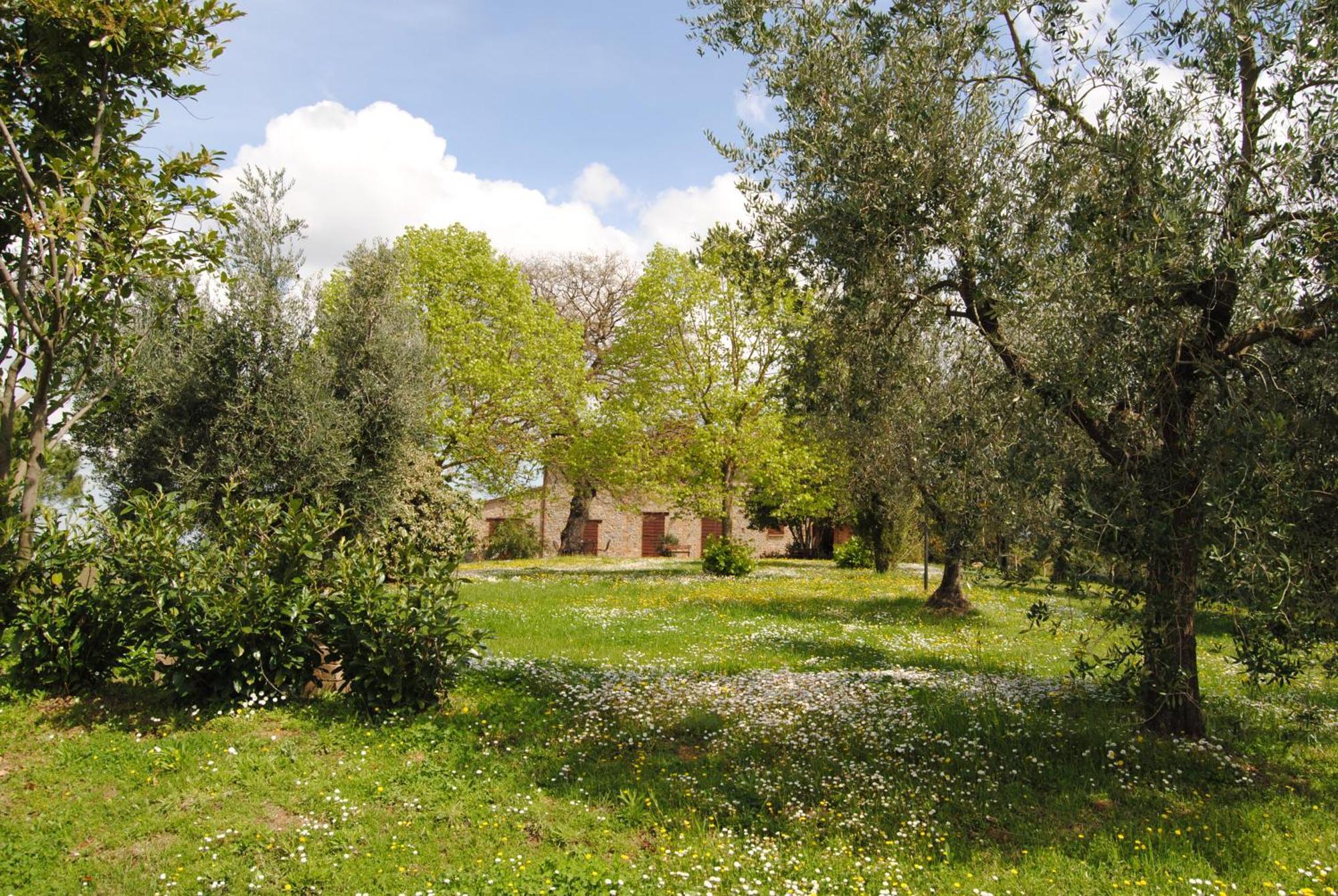 Agriturismo Cornieto Monteleone d'Orvieto ภายนอก รูปภาพ