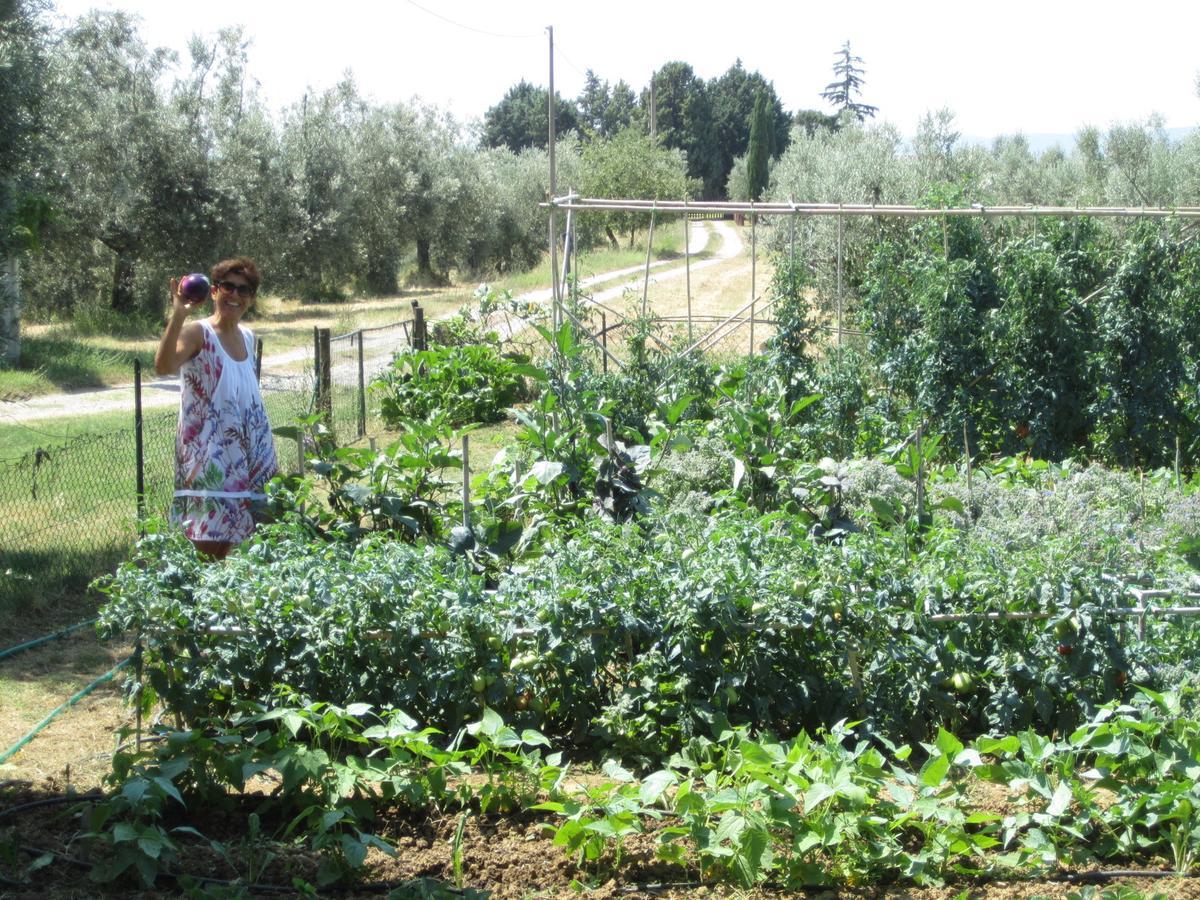 Agriturismo Cornieto Monteleone d'Orvieto ภายนอก รูปภาพ